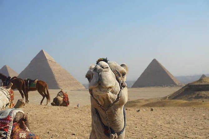 Private Tour Giza Pyramids & Cairo Tour From Sharm El Sheikh by Plane - What To Expect
