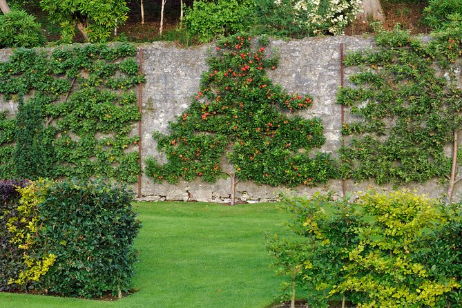 Private Tour - Irish Walled Garden, Nature & Giants Causeway - Reservation Details