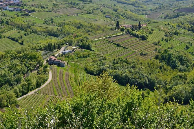 Private Tour of Goriska Brda Wine Hills From Ljubljana - Tour Location and Duration