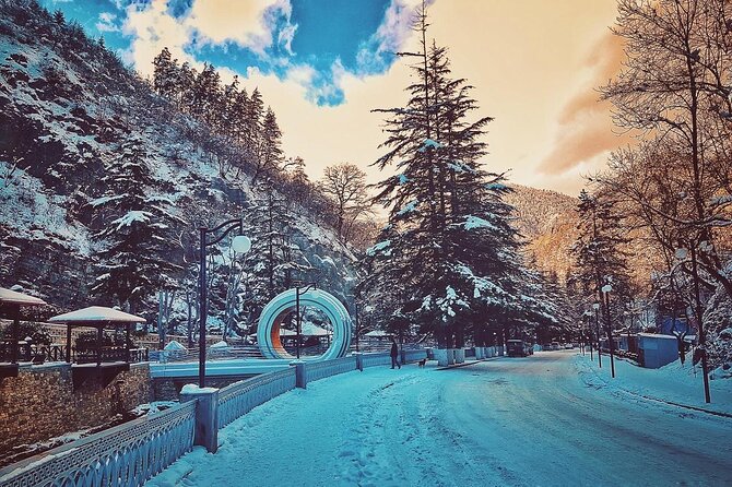 Private Tour to Bakuriani Ski Resort and the Legendary Borjomi - Activities