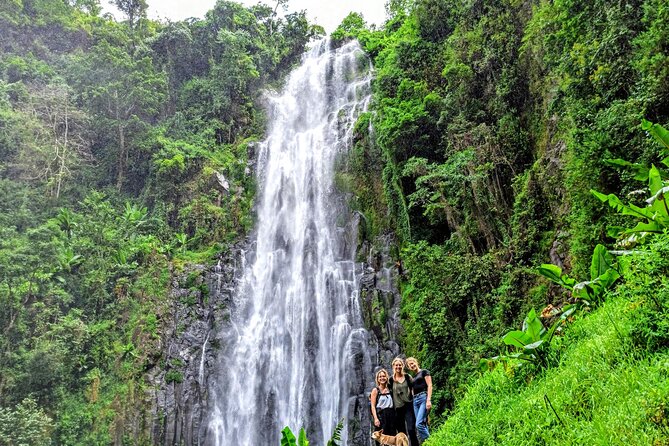 Private Tour to Materuni Waterfalls, Coffee Tour, Kikuletwa Hot Springs & Maasai - Tour Inclusions