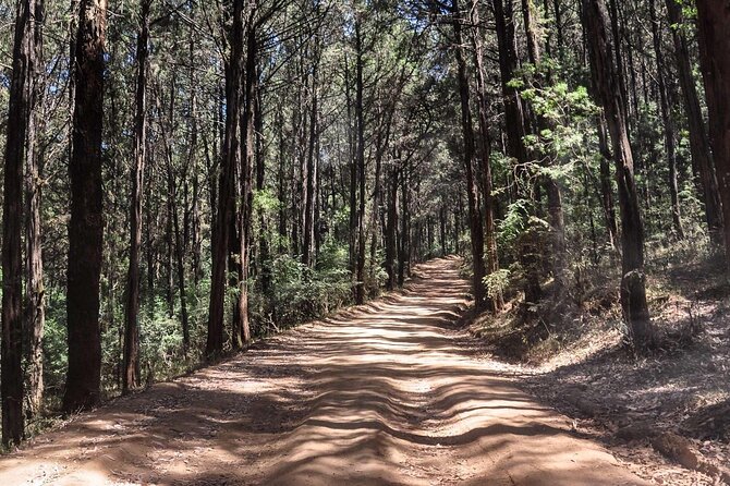 Private Tour to Suba Forest and Highest Peak With Lunch - Frequently Asked Questions