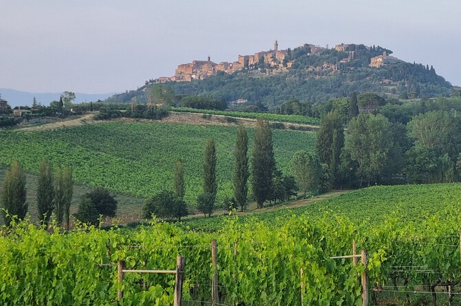 Private Tour Wine and Cheese a Perfect Combinations Val Orcia - Booking Information