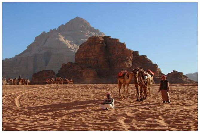 Private Transfer Petra To/From Wadi Rum - The Sum Up