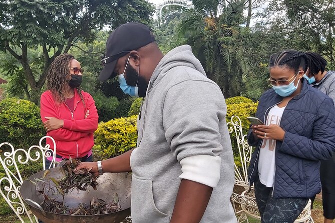 Purple Tea Farm Tour From Nairobi City - Specialty Tea Tasting - Group Size and Inclusions