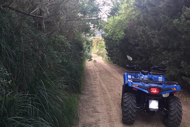 Quad Excursions in the Heart of Sicily - Booking Details and Flexibility