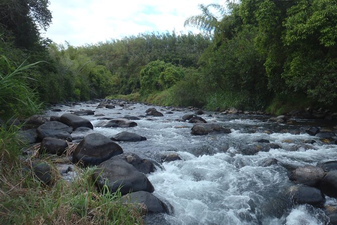 Rafting - Background