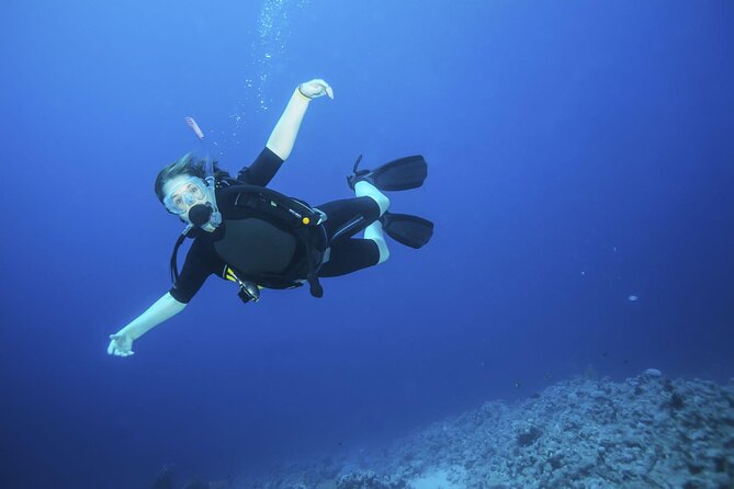 Ras Mohamed, White Island Trip, Two Stops Diving -Sharm El Sheikh - Customer Reviews