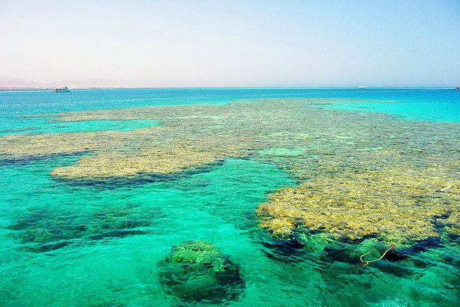 Ras Mohammed & White Island Snorkeling Tour by Boat From Sharm El Sheikh - Operator and Group Size
