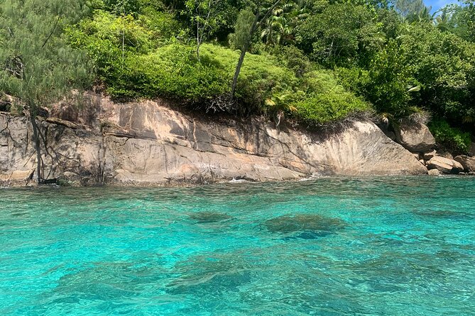 Reef Safari - Snorkeling, Fish Feeding & Lunch (Shared Day Trip) - Frequently Asked Questions