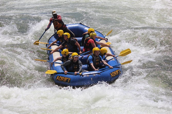 River Nile White Water Rafting Adventure 1 Day Tour - Price