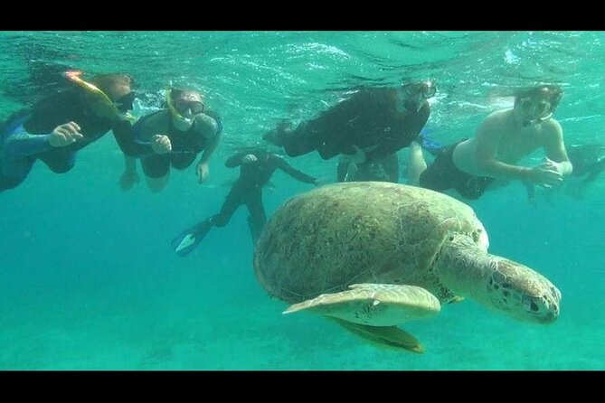 Royal Dolphin House Sea Trip Hurghada - Trip Overview