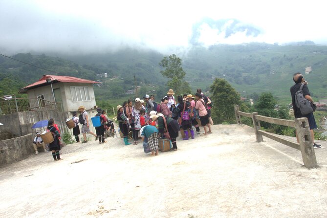 Sa Pa Full Day Trekking Tour - Customer Reviews
