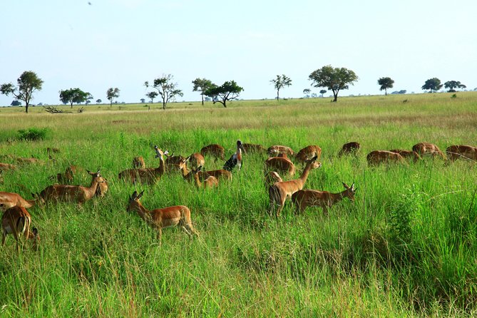 Saadani-Day Trip - Directions and Recommendations