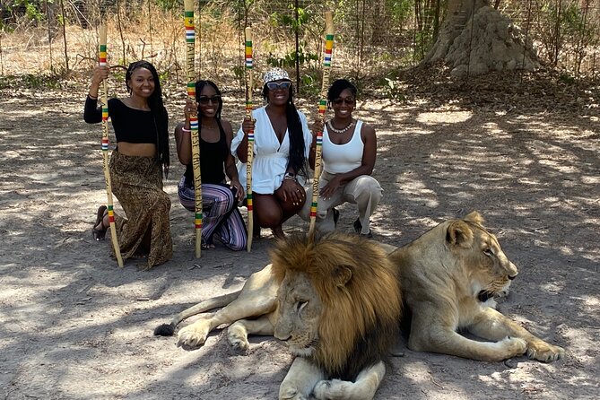 Safari and Walk With Lions in Fathala - Additional Considerations and Recommendations