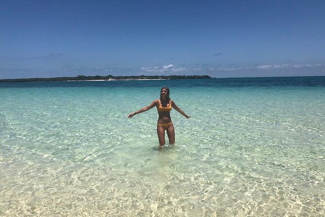 Safari Blue Zanzibar & Menai Bay Fascinating Day Sea Trip With Lunch - Zanzibar - Booking
