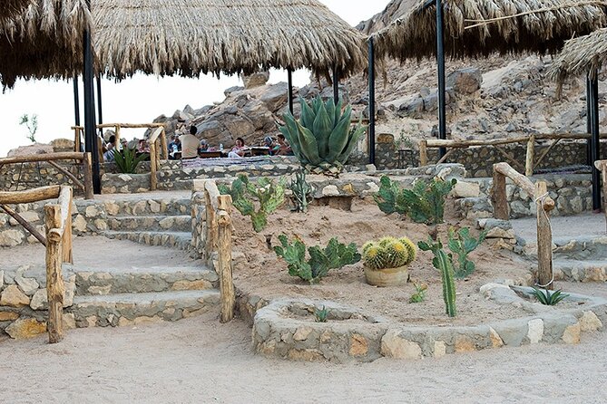Safari Full Day Excursion By ATV Quad & Camel Ride With Dinner - Marsa Alam - Operational Logistics