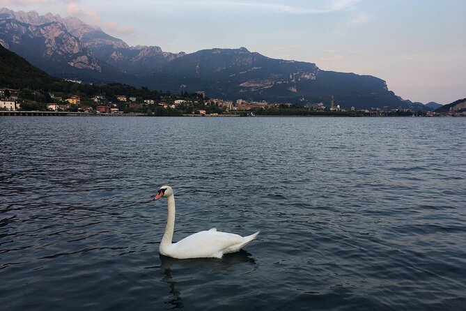Sailing at Sunset on Lake Como: How to Escape From Daily Routine - The Sum Up