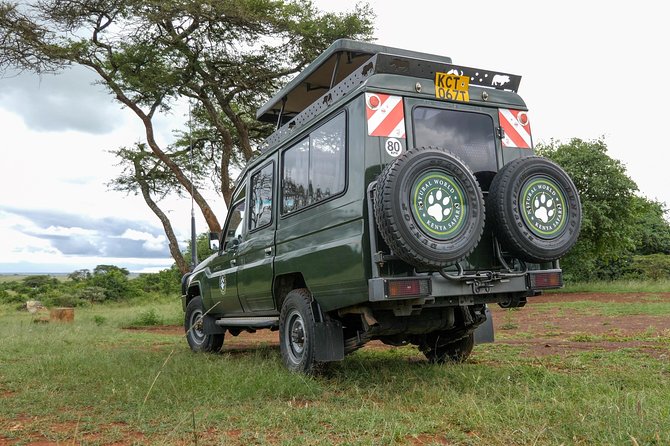 Samburu, Lake Nakuru & Masai Mara 6 Days Private 4x4 Jeep Safari - The Sum Up