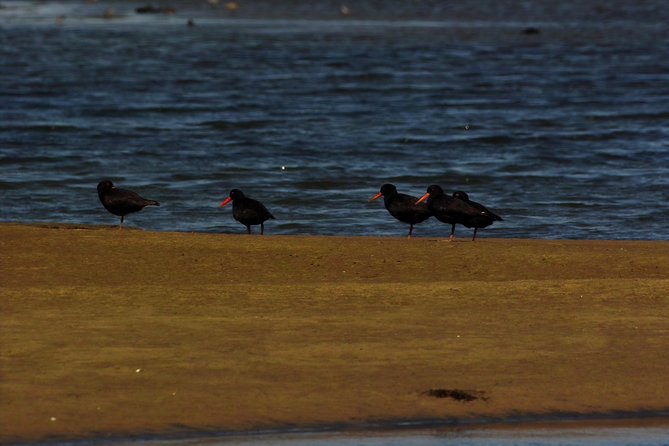 Sandwich Harbour & Pelican Point Full Day Tour - Directions