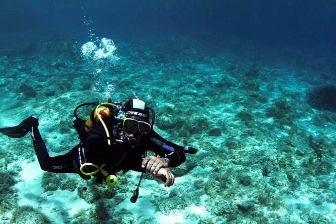 SCUBA DIVE: Kallitheas Underwater Exploration - Activities: Learn Scuba Diving Basics, Observe Sea Life