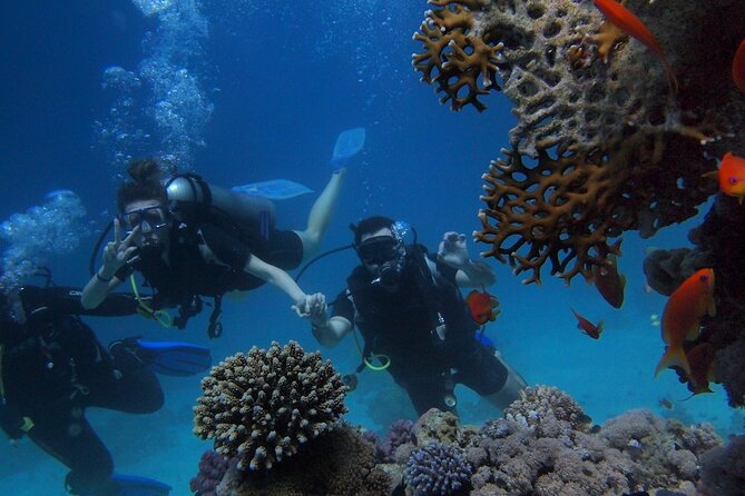 Scuba Diving Tour in Antalya - Frequently Asked Questions