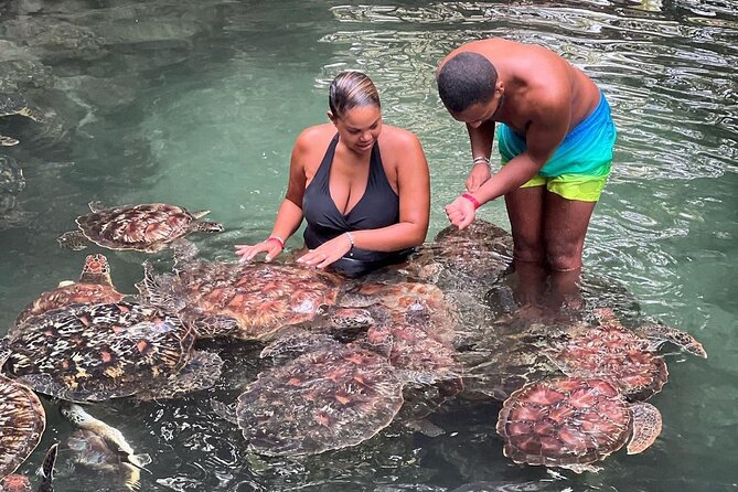 Sea Turtles Aquarium, Fishermans Village and Dhow Sunset Cruise - Frequently Asked Questions