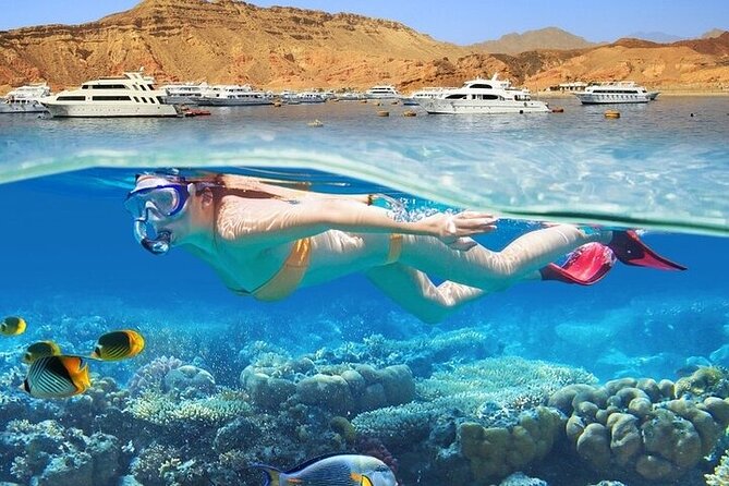 Seaside Adventures From Marsa Alam to Hamata With Lunch - Booking Information