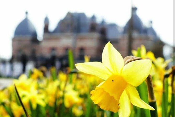 2 Best 2 Hour Tours and Experiences in Arnhem