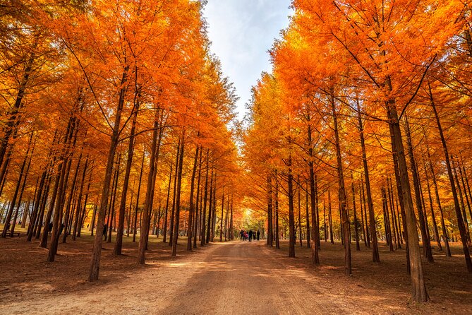Seoul Vicinity 5 in 1: Nami Island, Garden of Morning Calm & More - Inclusions and Exclusions