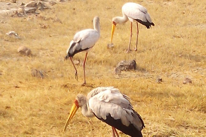 Serengeti National Park 7 Days Safaris Camping - Cancellation Policy Details