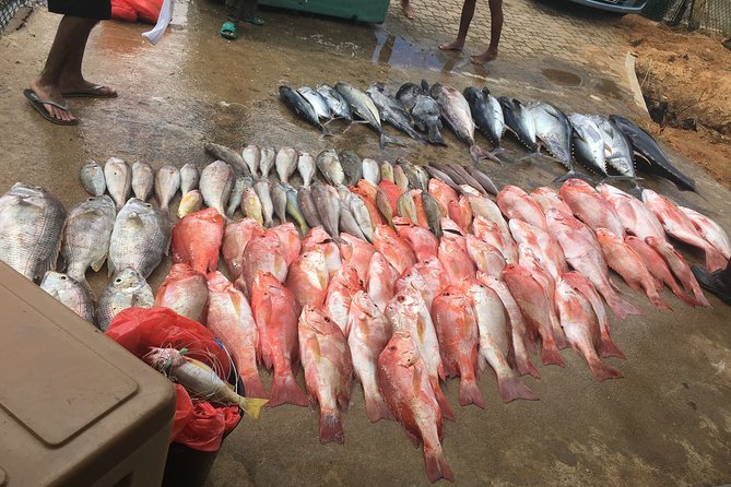 Seychelles Big Game Fishing - Good To Know
