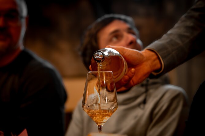Shared or Small Group Wine Tasting Experience in Slovenia - Additional Travel Information