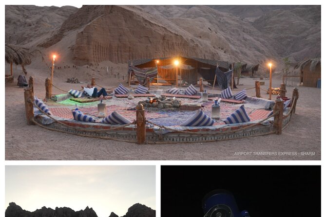 Sharm Bedouin Dinner,Camel Ride & Star Gazing - The Sum Up