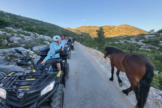 Skywalk Biokovo ATV Quad Tour - Frequently Asked Questions