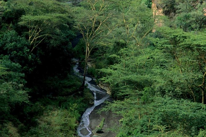 Small Group Budget Tour to Hells Gate National Park and Lake Naivasha Boat Ride - Customer Reviews