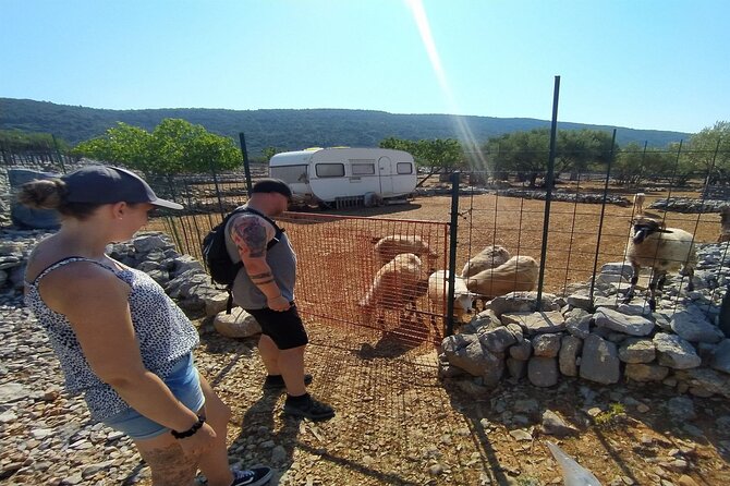 Small-Group Olive Oil Tour in Cres With Tasting - Frequently Asked Questions