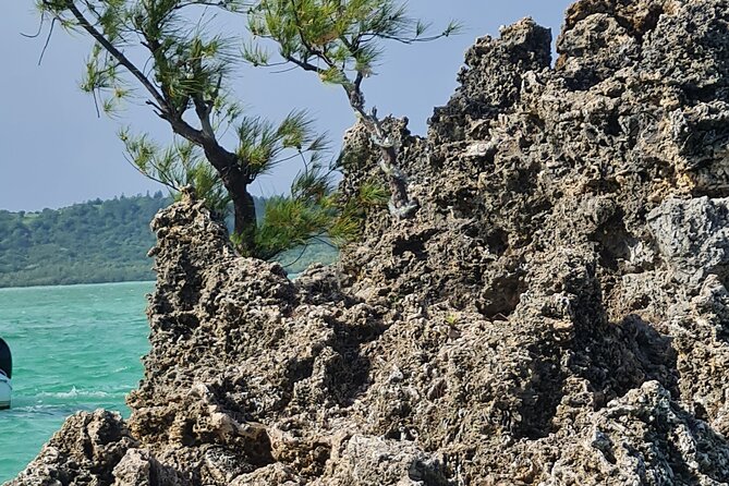 Snorkel With Dolphins, Lunch on Benitiers Island, Speedboat - Inclusions and Exclusions