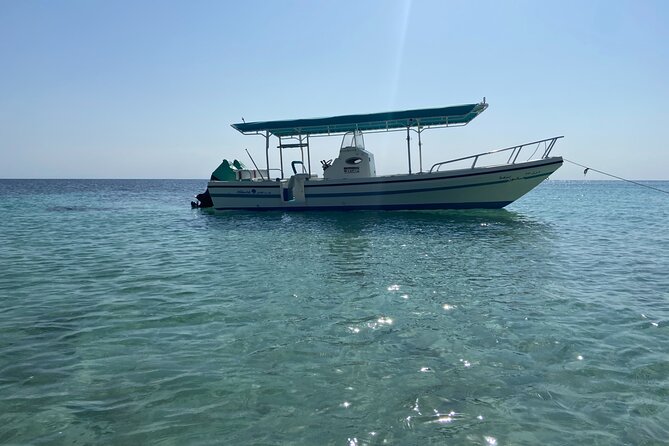 Snorkeling at Dimaniyat Islands and Dolphin Watching - The Sum Up