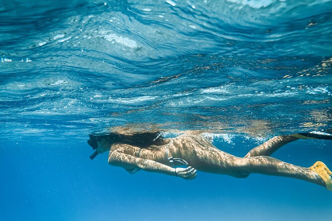 Snorkeling Boat Excursion to Caprera and Maddalena Archipelago - Additional Notes