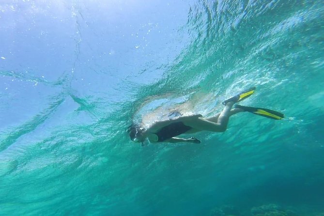Snorkeling for a Clean Sea Experience - Group Size and Personalized Attention