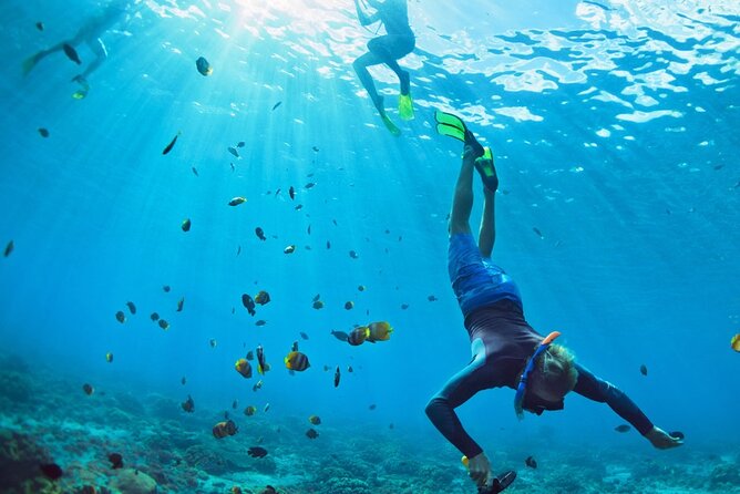 Snorkeling Trips to Daymaniat Islands Sharing Trip - The Sum Up