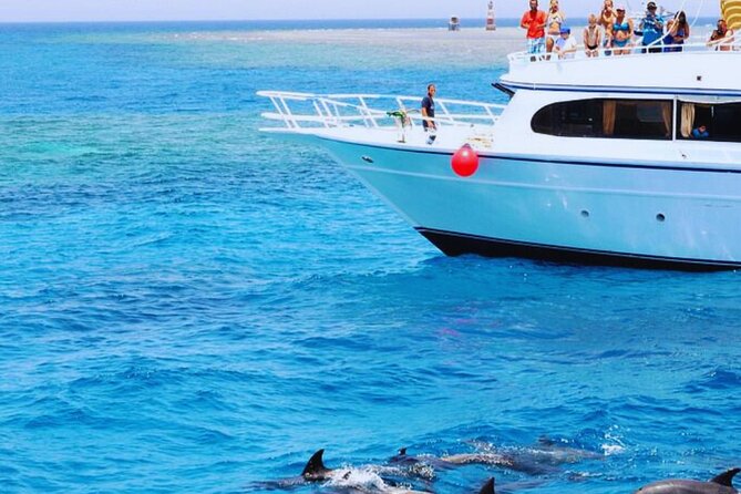 Snorkelling VIP Tour to Dolphin House - Booking Information