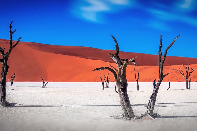 Sossusvlei Experience 4 Days/ 3 Nights - Day 3: Exploring Sossusvlei and Dead Vlei