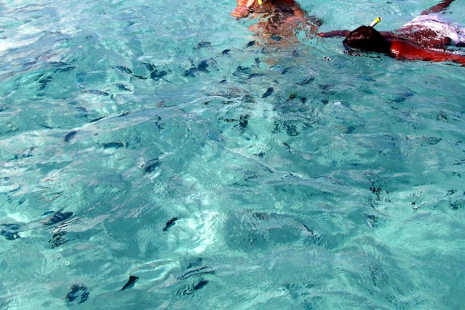Spectacular Catamaran Trip to Ile Aux Cerf Incl: Undersea Walk, Lunch & GRSE - Frequently Asked Questions