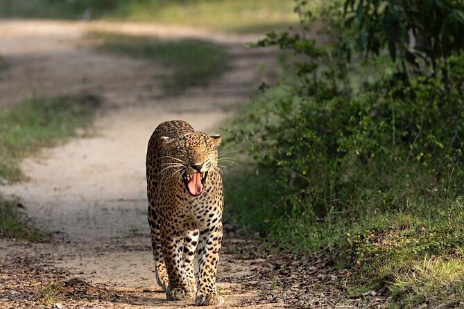 Spectacular Serengeti Migration Safari - Pricing Information