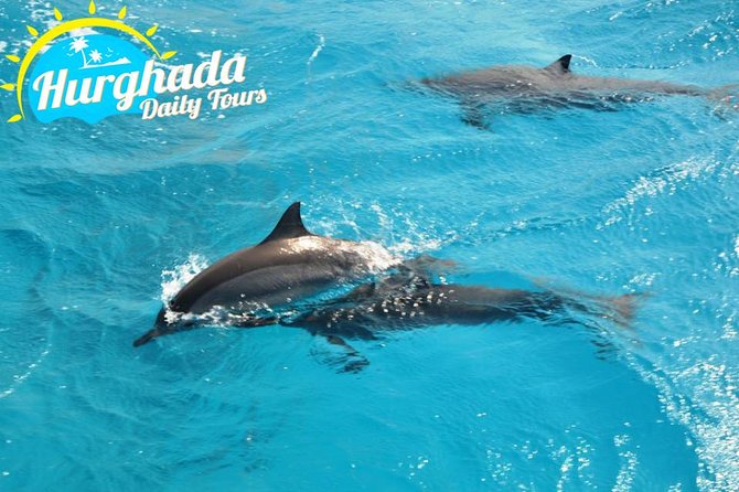 Speed Boat to Dolphin - Frequently Asked Questions
