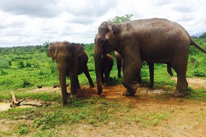 Sri Lanka Round Tour - Tour Route and Destinations