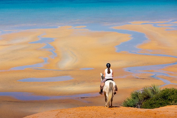 Standard Ride: Beach & Bush - Cancellation Policy