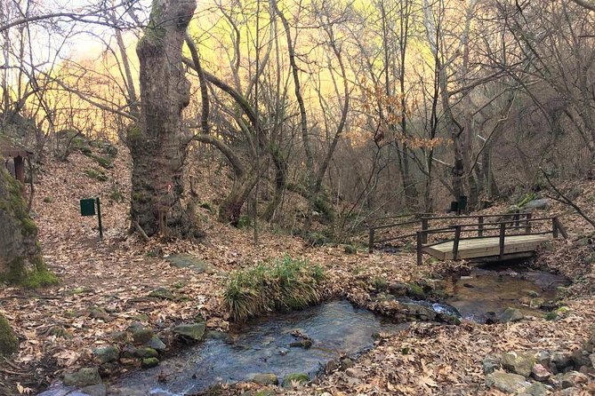 Strumica Monasteries and Waterfalls Tour From Skopje - Booking Information